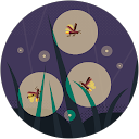 Nazar Butt Nazar Butt